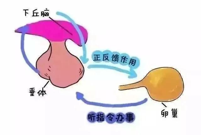 深圳婦科醫院排行榜
