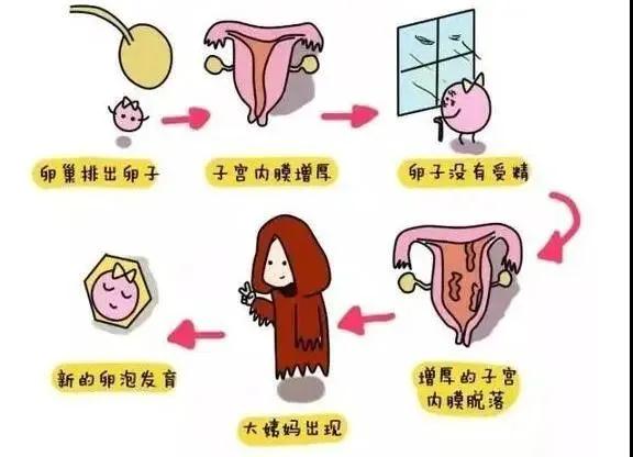 宮外孕手術深圳福田醫院多少錢