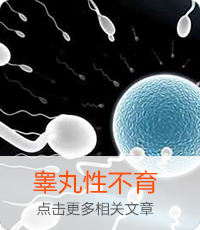 睪丸性不育